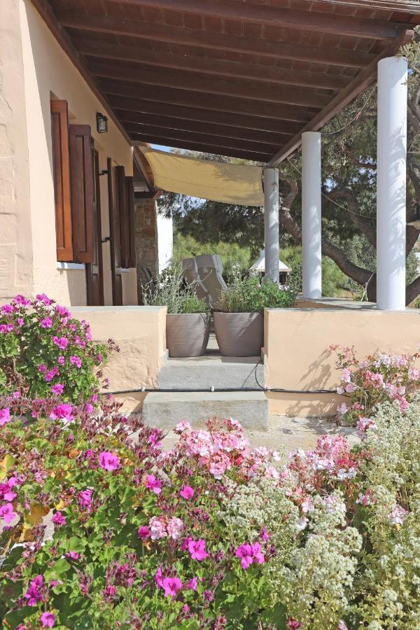 Agros  Pine Cottage, Syros Island מראה חיצוני תמונה