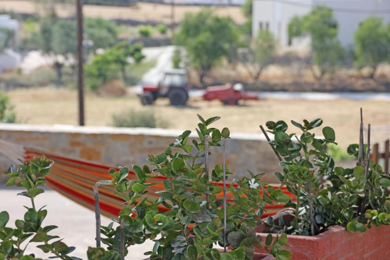 Agros  Pine Cottage, Syros Island מראה חיצוני תמונה